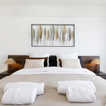 Royal Palm Yourhosthelper *